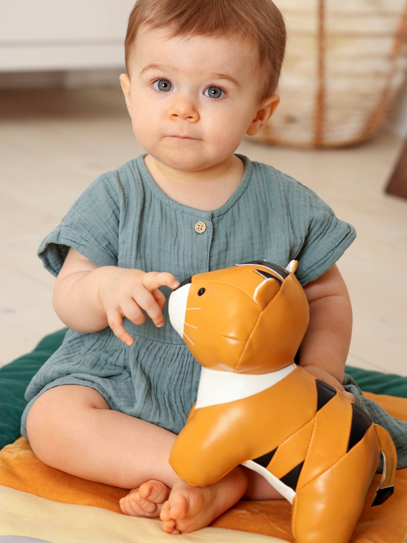 Les Animaux Musicaux