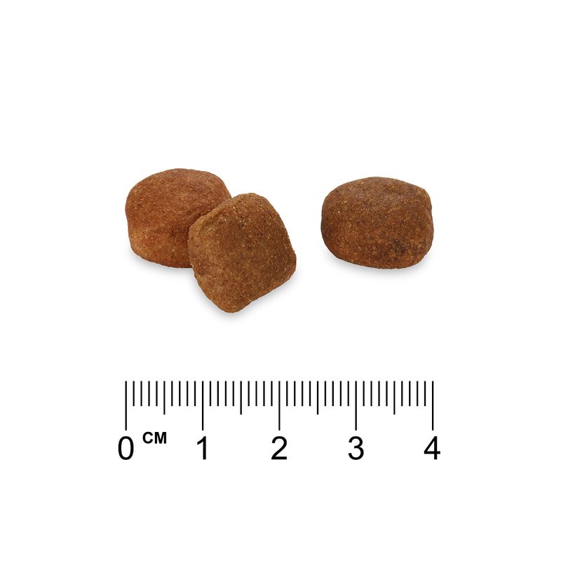 Rocco Diet Care Hypoallergen Lamm Trockenfutter