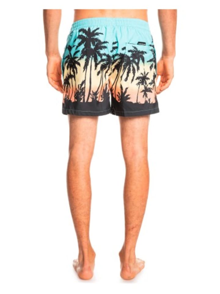 Quicksilver Everyday Paradise Volley 15 Badeshorts in Blau günstig kaufen
