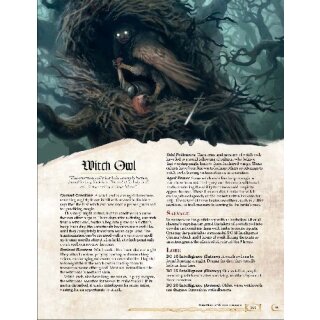 Grim Hollow - Monster Grimoire (5E) (EN)