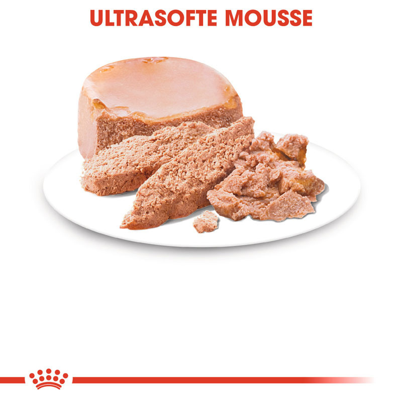 ROYAL CANIN Hundenassfutter ROYAL CANIN Starter Mousse 12x195g