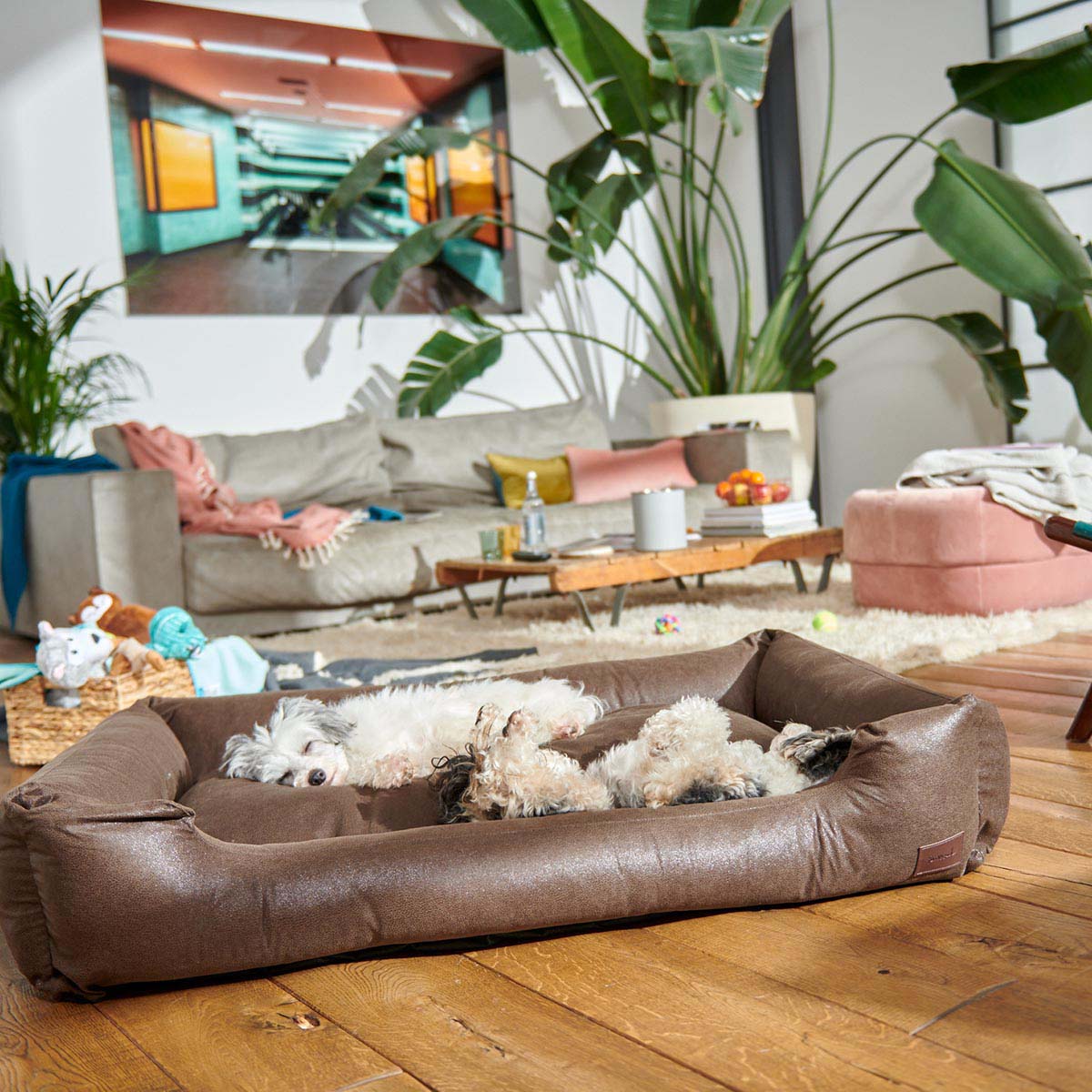 furrysoul Hundebett Emma braun günstig kaufen bei ZooRoyal