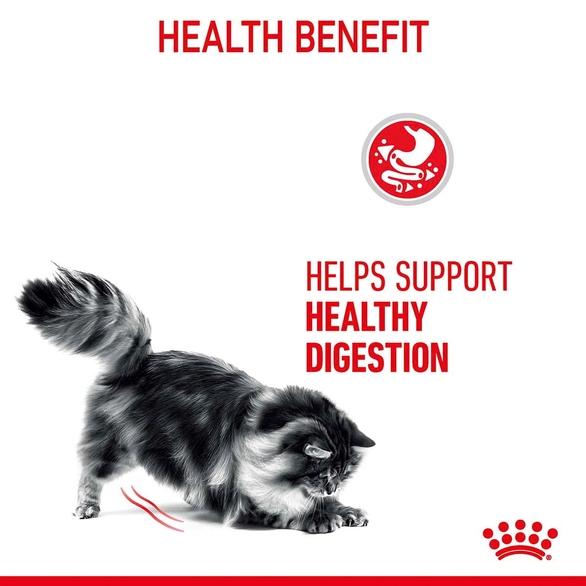 ROYAL CANIN DIGESTIVE CARE Feuchtnahrung für Katzen mit empfindlicher Verdauung