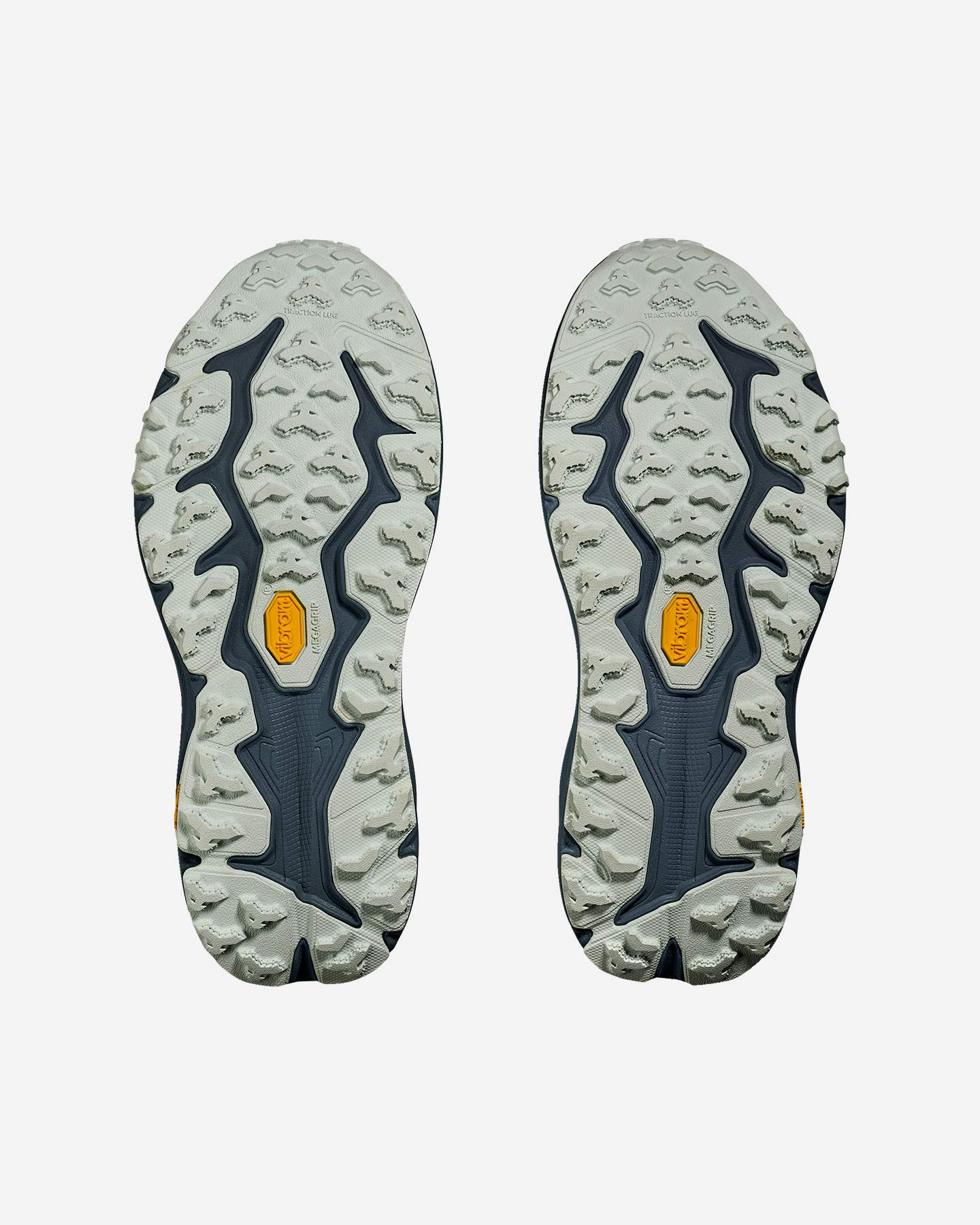 Scarpe Trail Hoka Speedgoat 6 Gtx W 1155151-TFL