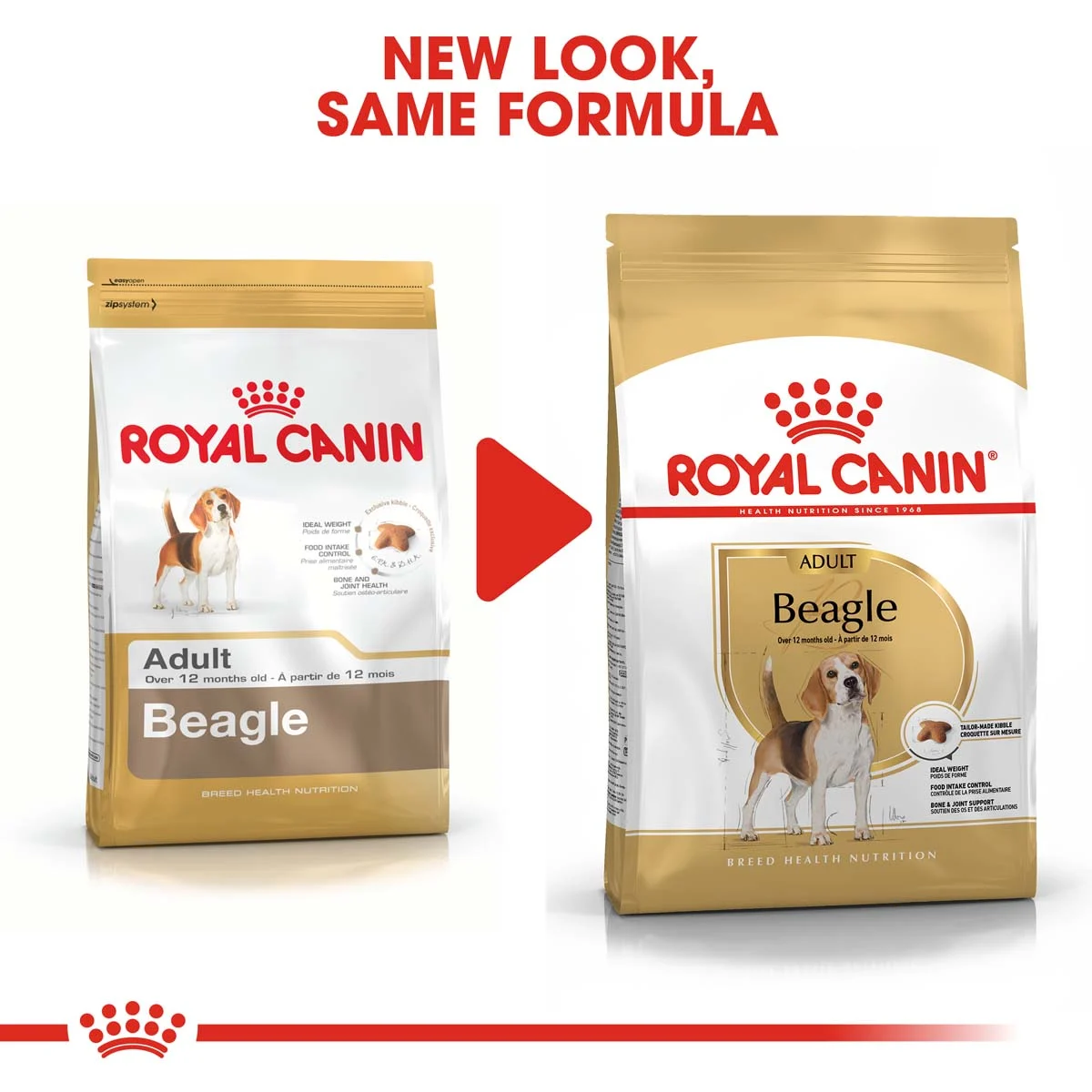 ROYAL CANIN Beagle Adult Hundefutter trocken kaufen bei ZooRoyal