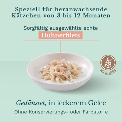 Schesir Jelly Pouch 6 x 85 g